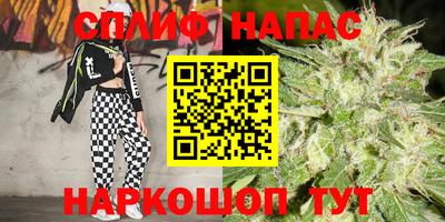 прущие крисы Ачхой-Мартан