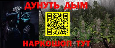 прущие крисы Ачхой-Мартан