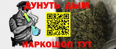 крисы Аша