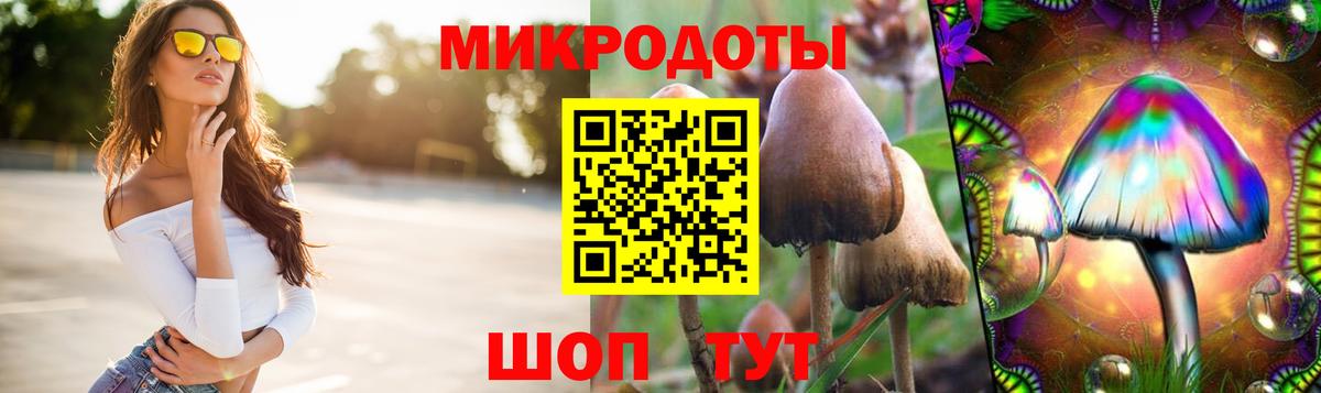Георгиевск  Псилоцибиновые грибы GOLDEN TEACHER  Вход с VPN 